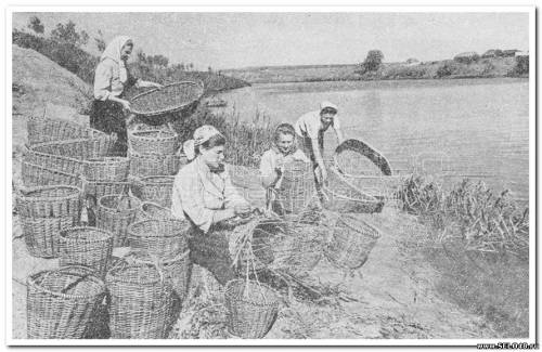 Работницы совхоза за плетением корзин