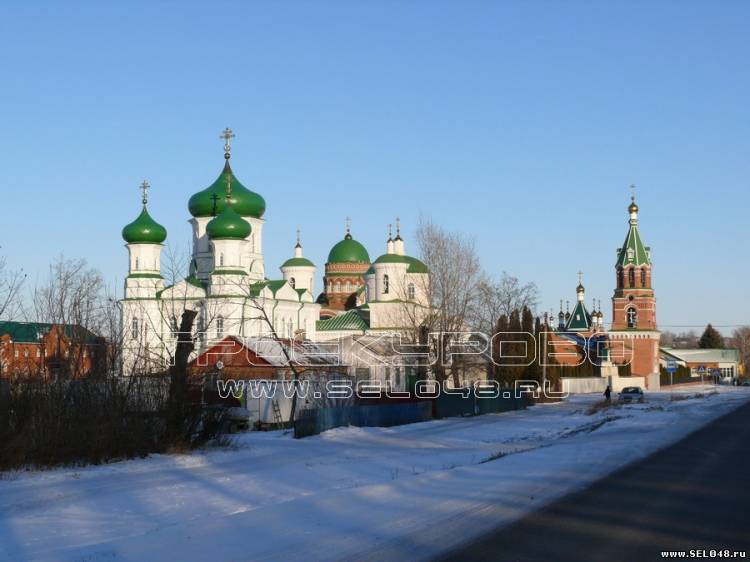 Общий вид на Троекуровский монастырь зима 2015г.