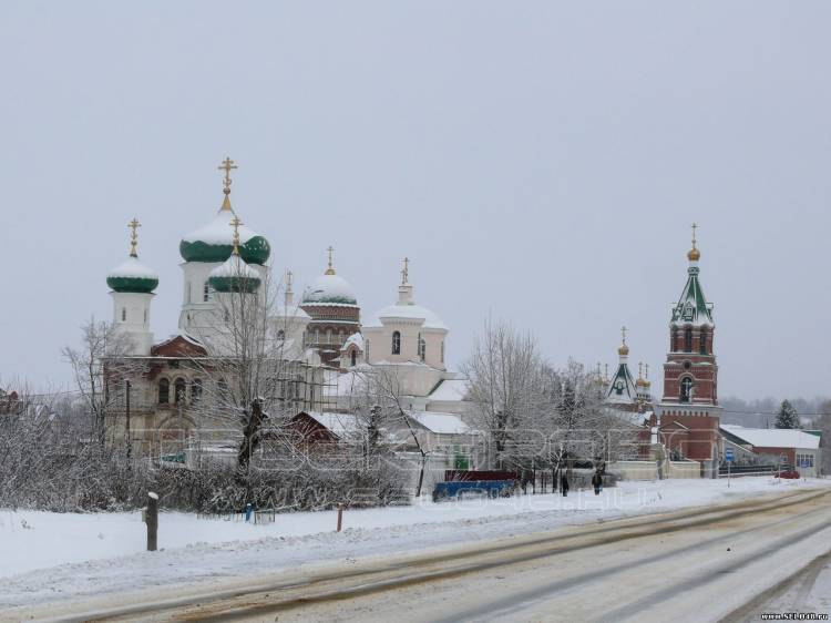 Общий вид Троекуровского монастыря зима 2015г.