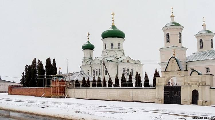 Троекуровский  монастырь. Зима 2016г