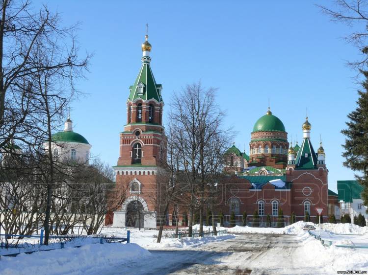 Общий вид Троекуровского монастыря зима 2015г